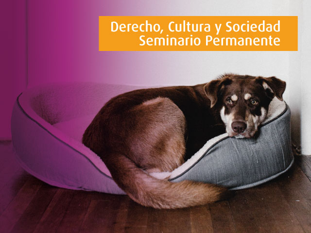 Los derechos de los animales | Derecho, Cultura y Sociedad - Seminario Permanente