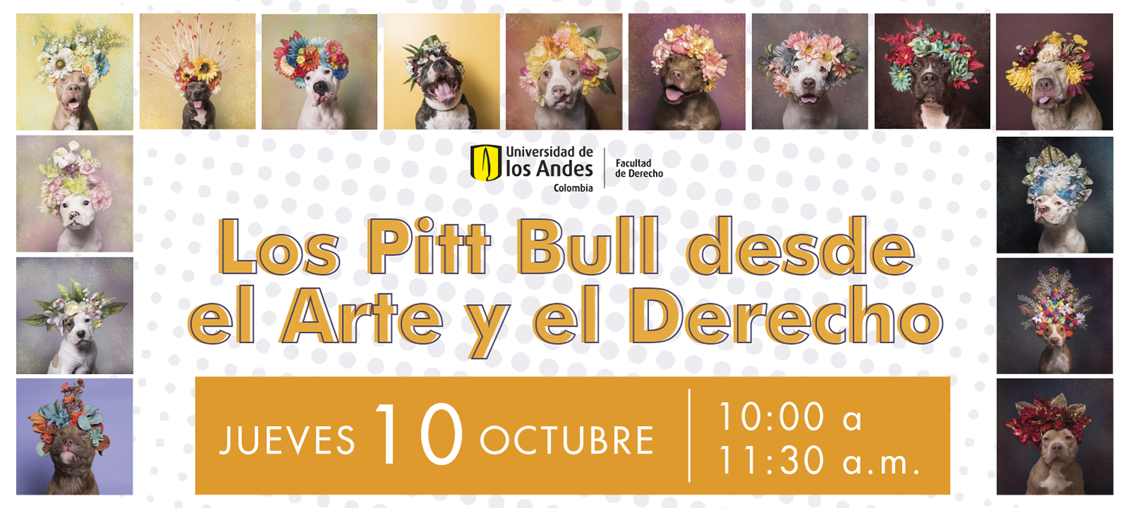 Los Pitt Bull desde el Arte y desde el Derecho