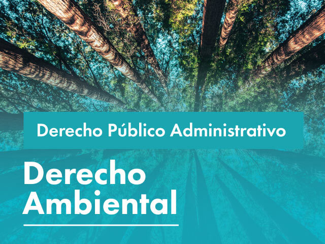  Facultativa: Derecho Ambiental 