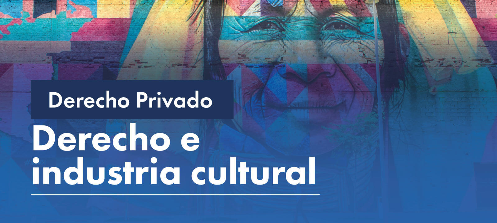 Facultativa: Derecho e industria cultural 