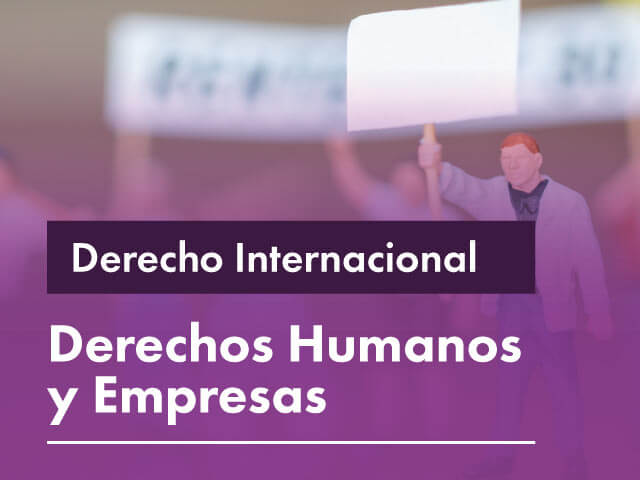 Facultativa: Derechos Humanos y Empresas 2023-1