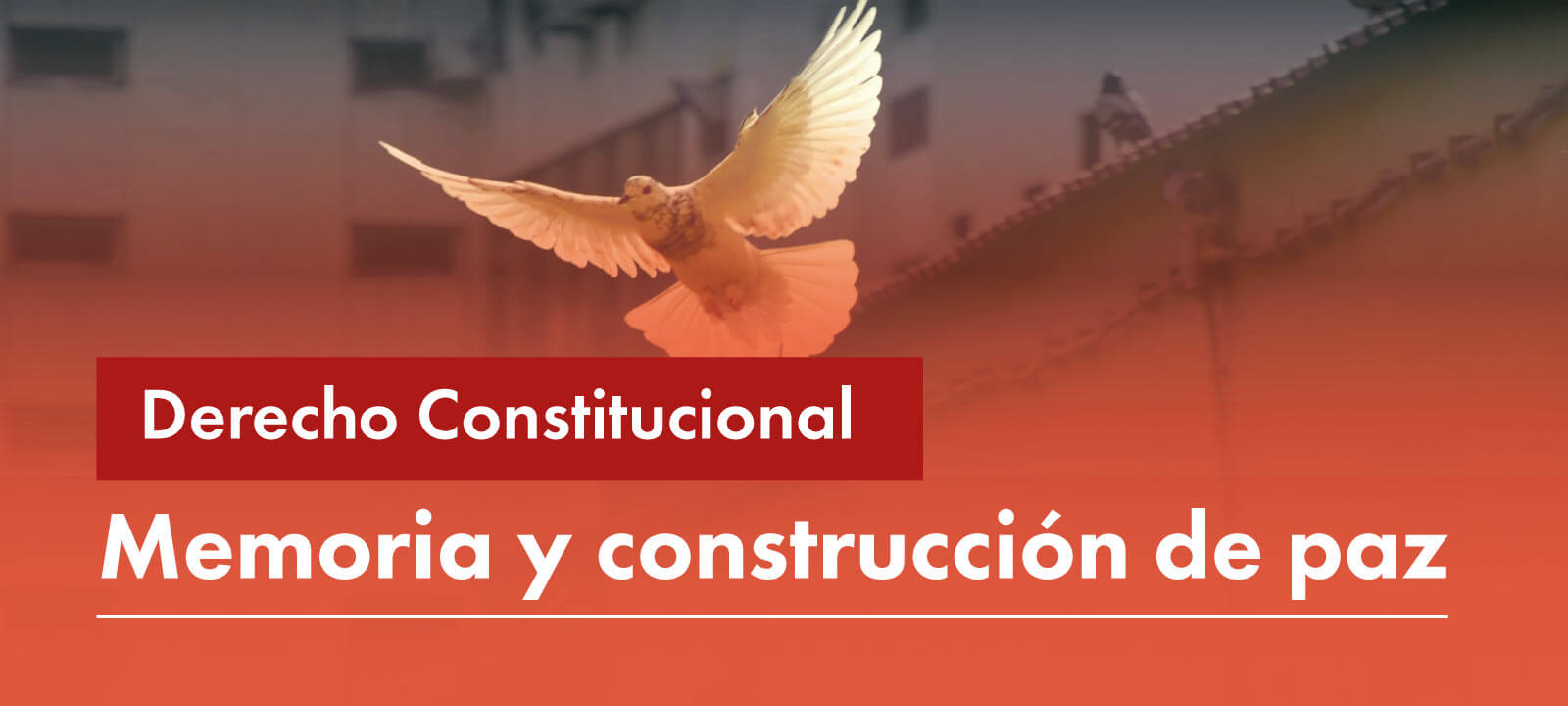 Facultativa: Memoria y construcción de paz 2023-1