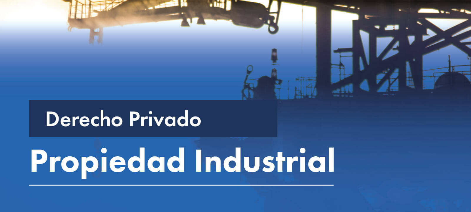 Facultativa: Propiedad Industrial 