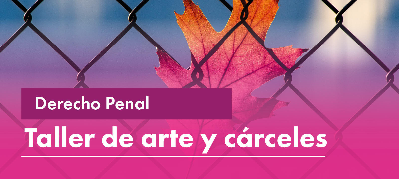 Facultativa: Taller de arte y cárceles 