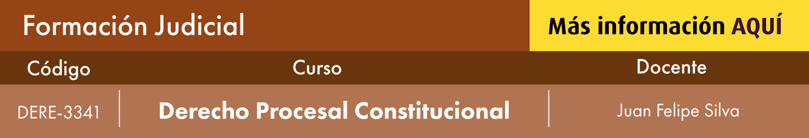 derecho procesal constitucional