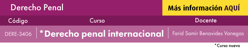 derecho penal internacional