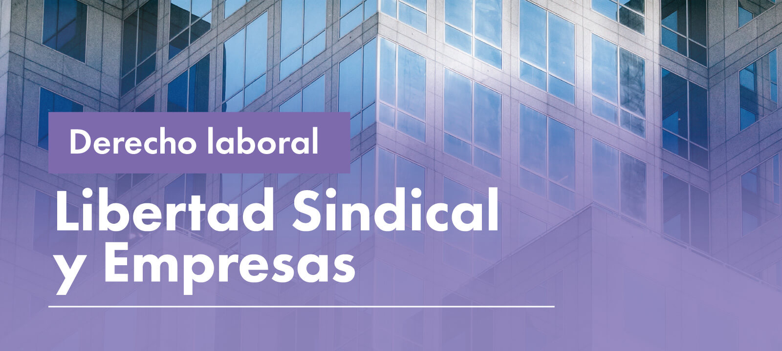 Libertad sindical y empresa 