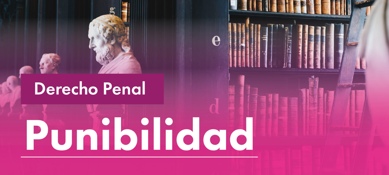 Facultativa 2023-20: Punibilidad 