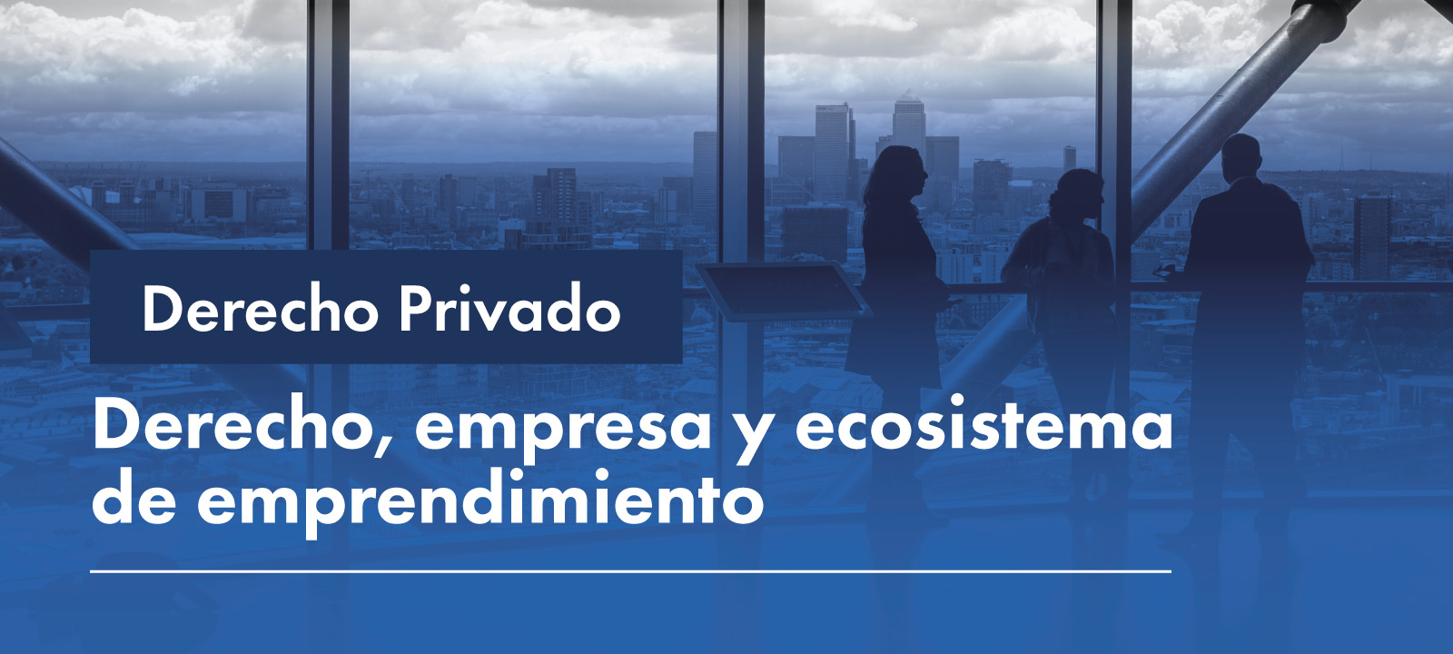 Facultativa: Derecho, empresa y ecosistema de emprendimiento