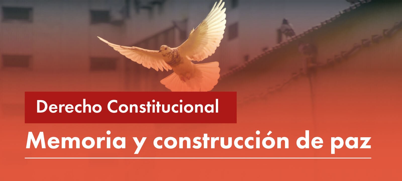 Facultativa: Memoria y construcción de paz