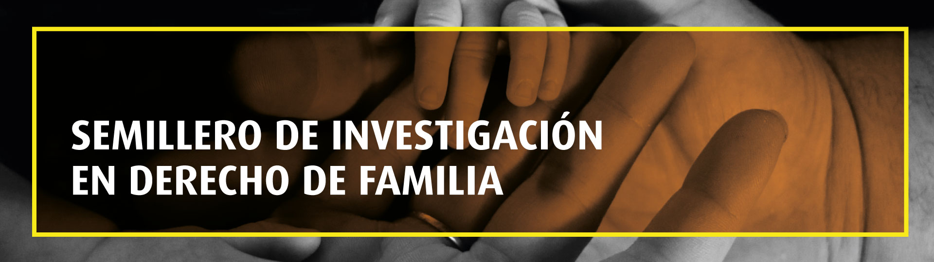 Semillero de Investigación en Derecho de Familia | Uniandes