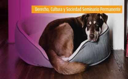 Los derechos de los animales | Derecho, Cultura y Sociedad - Seminario Permanente