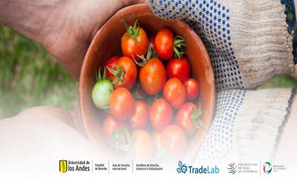 Construyendo un futuro agrícola sostenible: desafíos y oportunidades para Colombia en los mercados globales