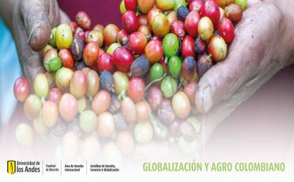 Globalización y agro colombiano: Sistema europeo de límites máximos de residuos de plaguicidas y su impacto en la oferta exportable colombiana