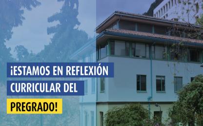 ¡ESTAMOS EN REFLEXIÓN CURRICULAR DEL PREGRADO! 